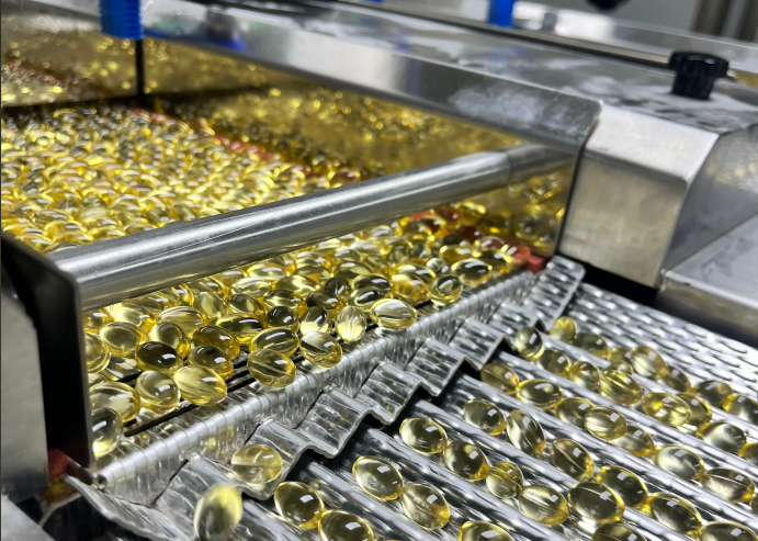 What are the Key Factors in Fish Oil Supplement Manufacturing Process