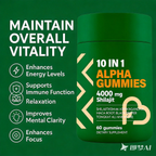 Private Label Himalayan Shilajit Gummies