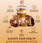 OEM Organic Sugar-Free Instant Mushroom Coffee Powder 32 Packets