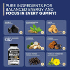 Shilajit Gummies with Black Seed Oil, Ashwagandha, Vitamins C & D3