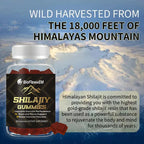 OEM Halal Vegan Himalayan Shilajit Gummies 500mg with Ashwagandha & Vitamins B + D