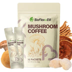 OEM Organic Sugar-Free Instant Mushroom Coffee Powder 32 Packets