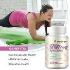 Wholesale OEM Berberine HCL 1500mg Vegan Softgels