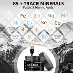 Supplément de résine Shilajit de l'Himalaya biologique OEM