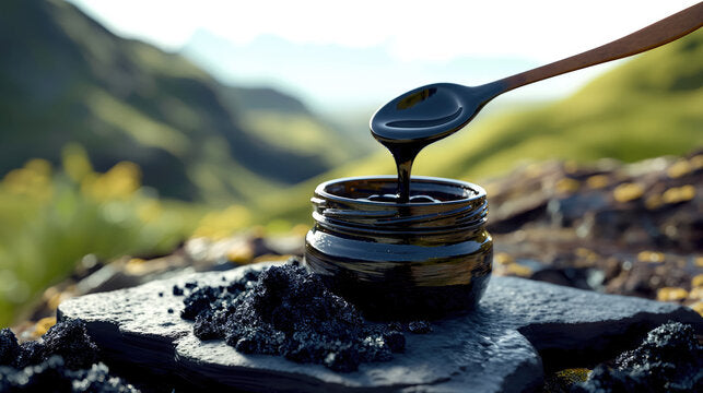 shilajit private label manufacturer