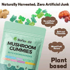 OEM Lion’s Mane Ashwagandha Mushroom Gummies