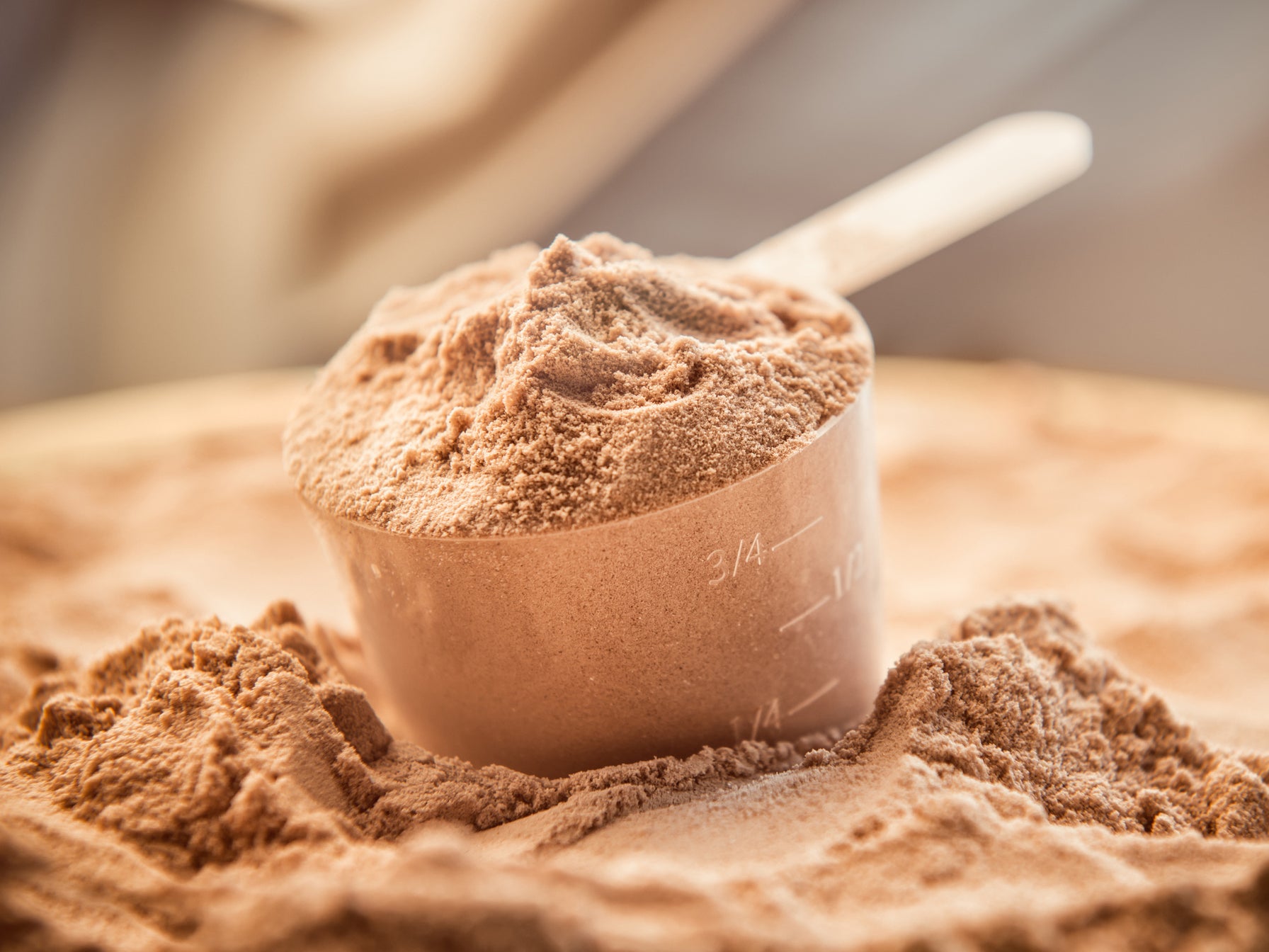 Whey Protein Manufacturer