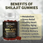OEM Halal Vegan Himalayan Shilajit Gummies 500mg with Ashwagandha & Vitamins B + D
