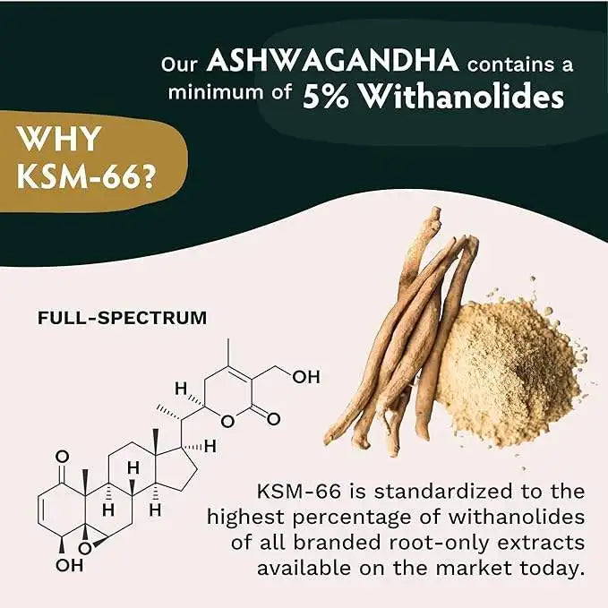 OEM Vegan Ashwagandha KSM-66 Capsules