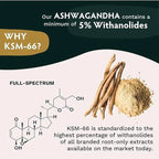 OEM Vegan Ashwagandha KSM-66 Capsules